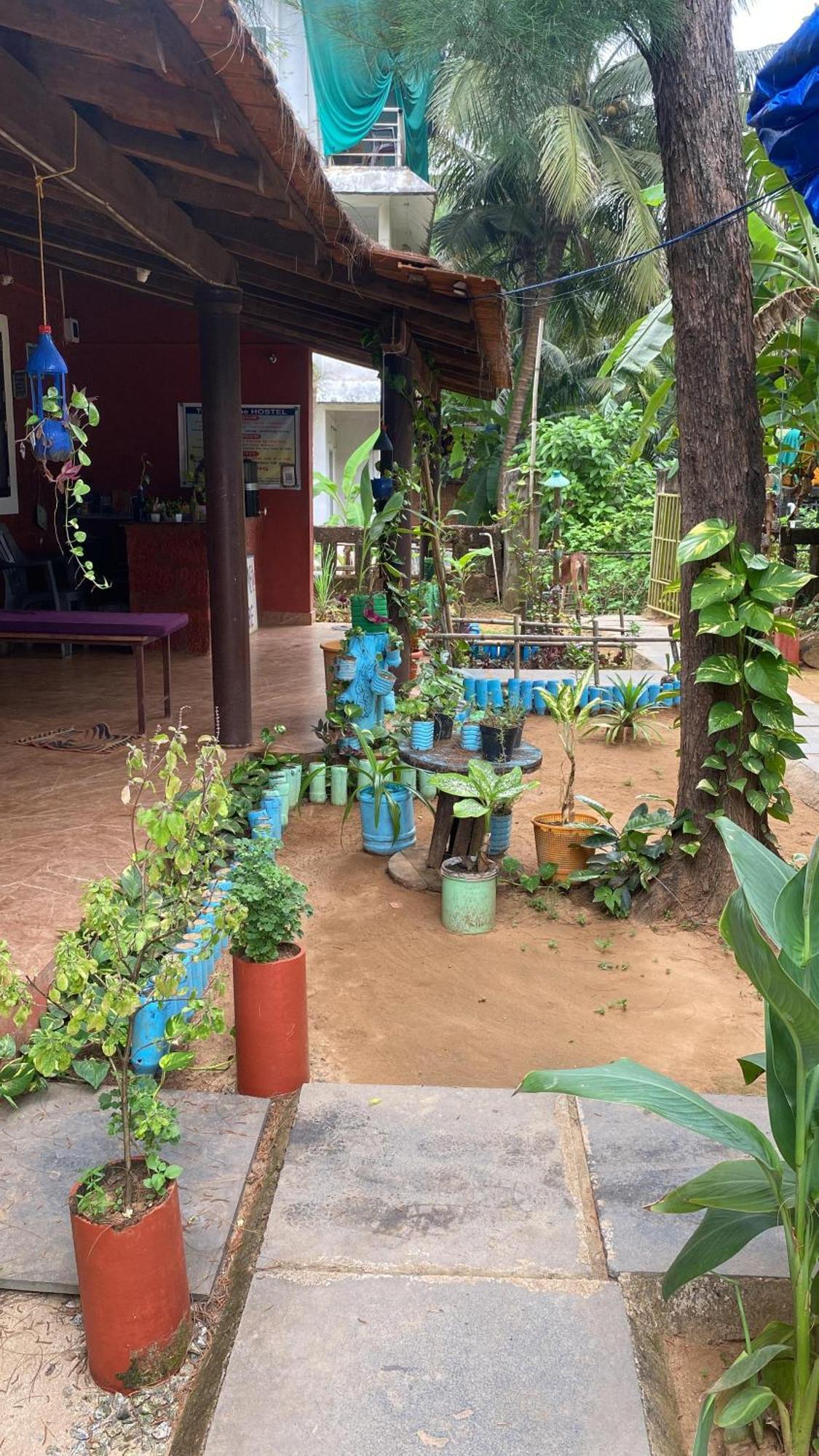Tusker Tribe Hostel Gokarna  Zewnętrze zdjęcie